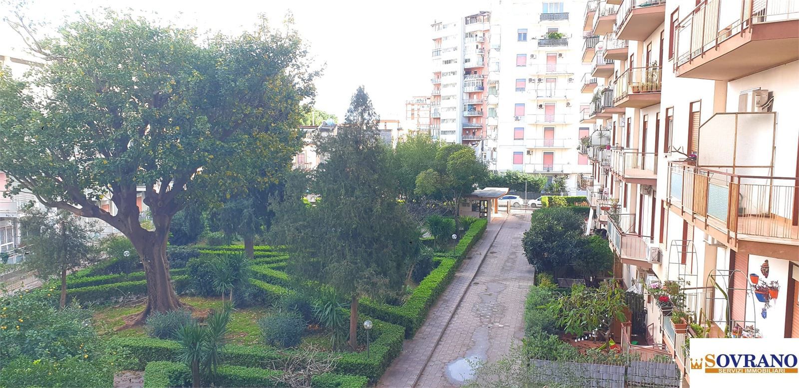 immagine annuncio 7 di 8